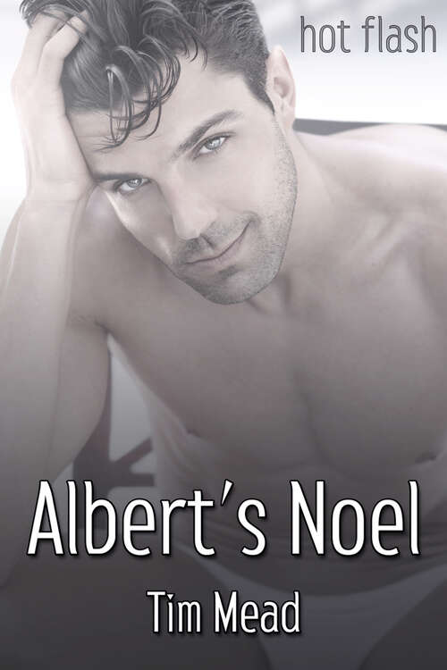 Book cover of Albert's Noel