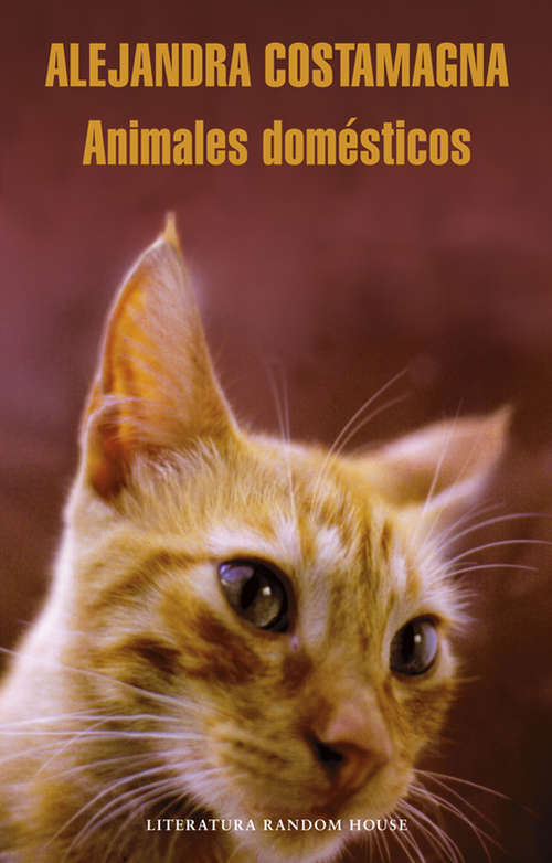 Book cover of Animales domésticos