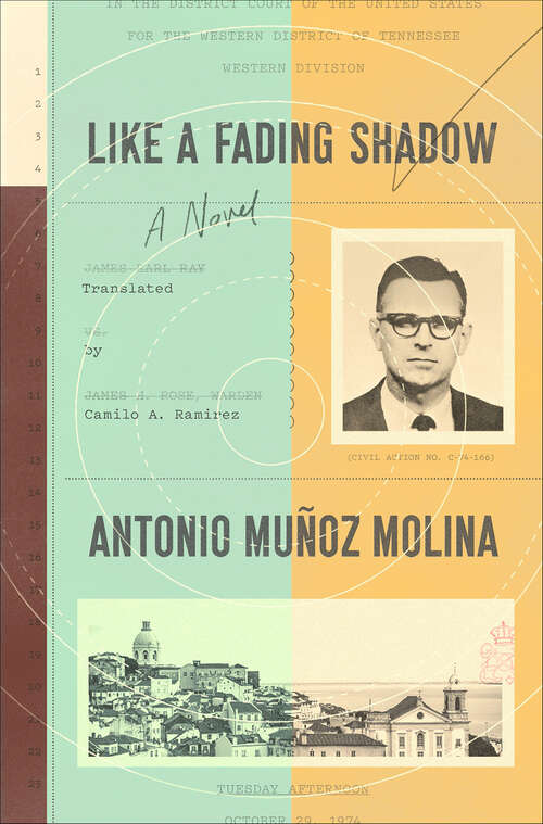 Book cover of Like a Fading Shadow: A Novel