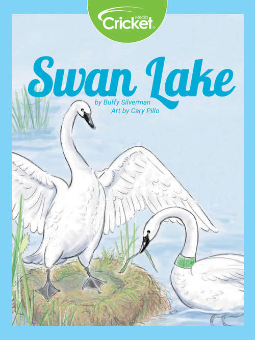 Book cover of Swan Lake