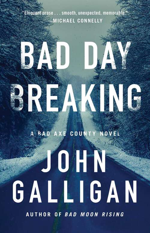 Book cover of Bad Day Breaking: A Novel (A Bad Axe County Novel #4)