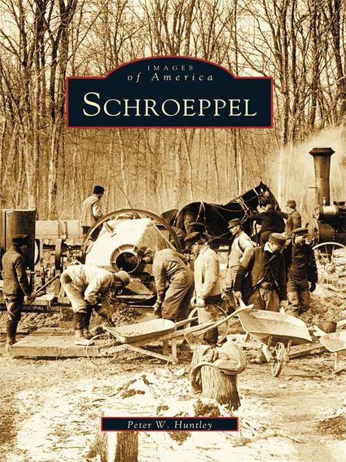 Book cover of Schroeppel