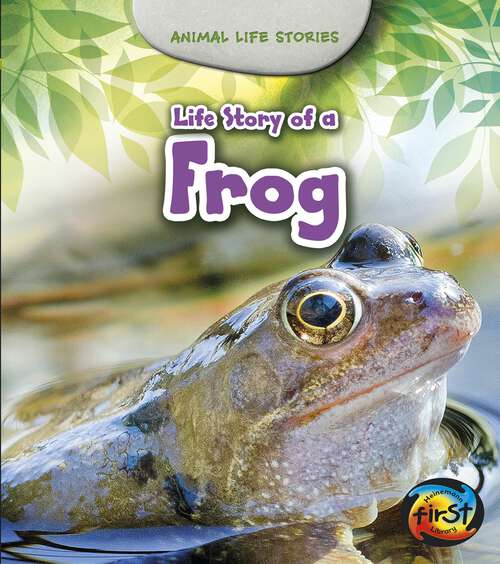 Book cover of Life Story of a Frog