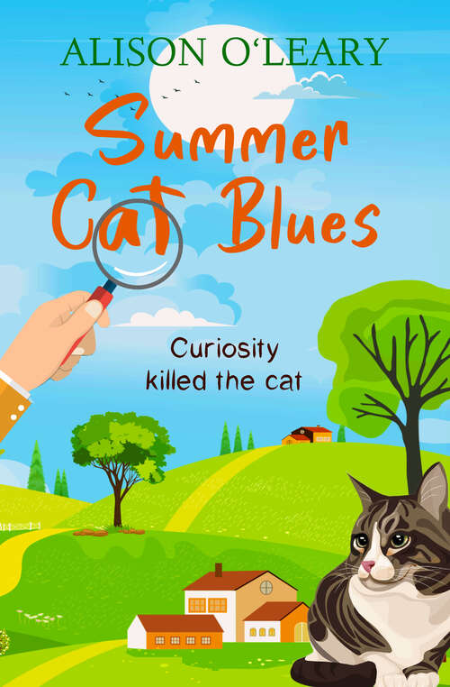 Book cover of Summer Cat Blues (Cat Noir)