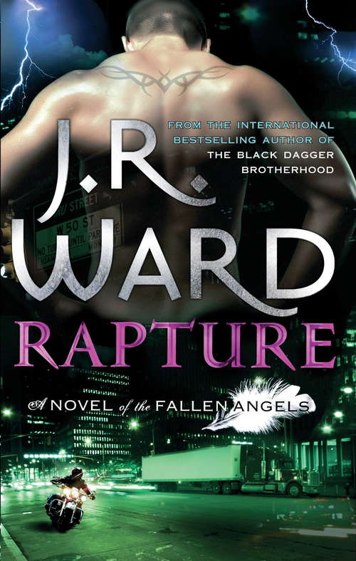 Book cover of Rapture: Number 4 in series (Fallen Angels #4)