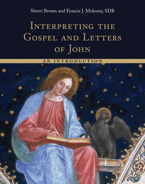 Book cover of Interpreting the Gospel and Letters of John: An Introduction