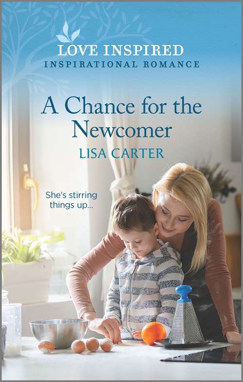 Book cover of A Chance for the Newcomer (Original)