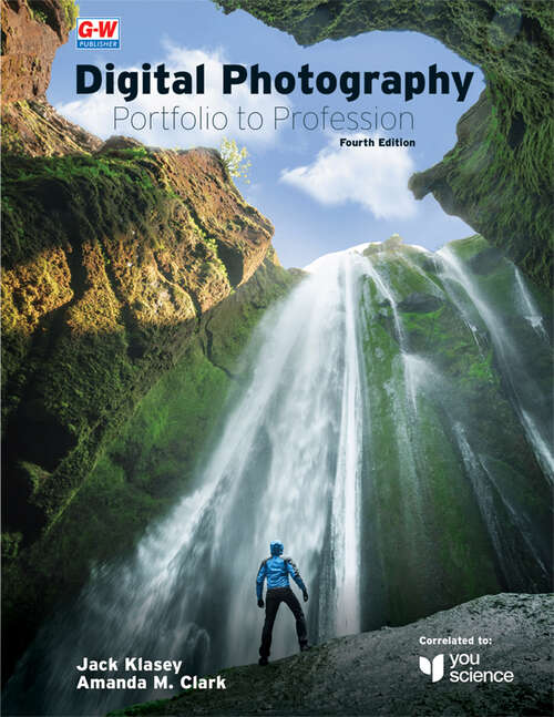 Book cover of Digital Photography Portfolio to Profession: Portfolio To Profession (4)