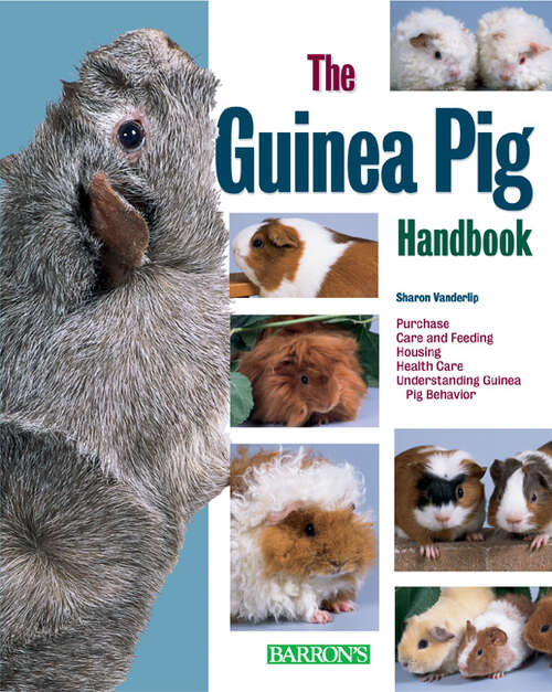 Book cover of The Guinea Pig Handbook (B.E.S. Pet Handbooks)