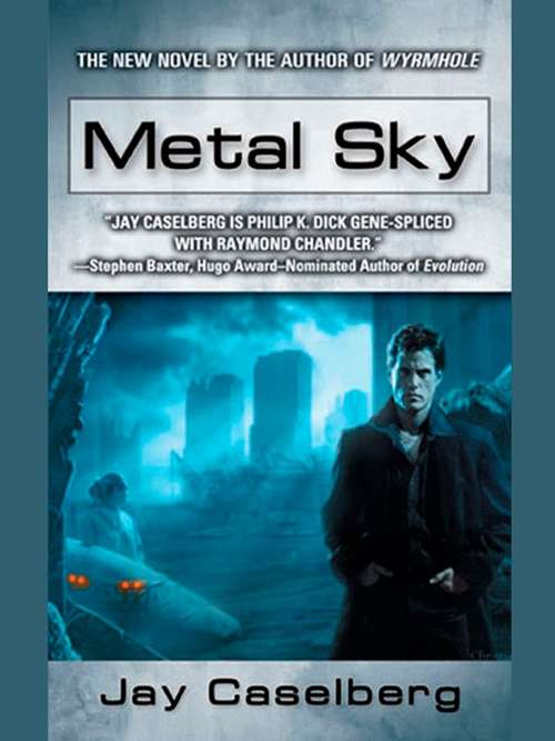 Book cover of Metal Sky