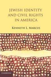 Book cover of Jewish Identity and Civil Rights in America