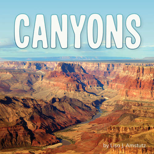 Book cover of Canyons (Earth's Landforms)