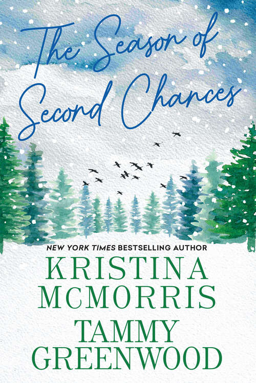 Book cover of The Season of Second Chances