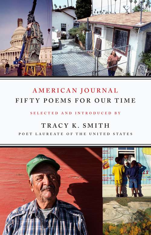 Book cover of American Journal: Fifty Poems for Our Time