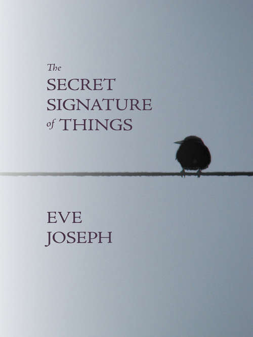 Book cover of The Secret Signature of Things