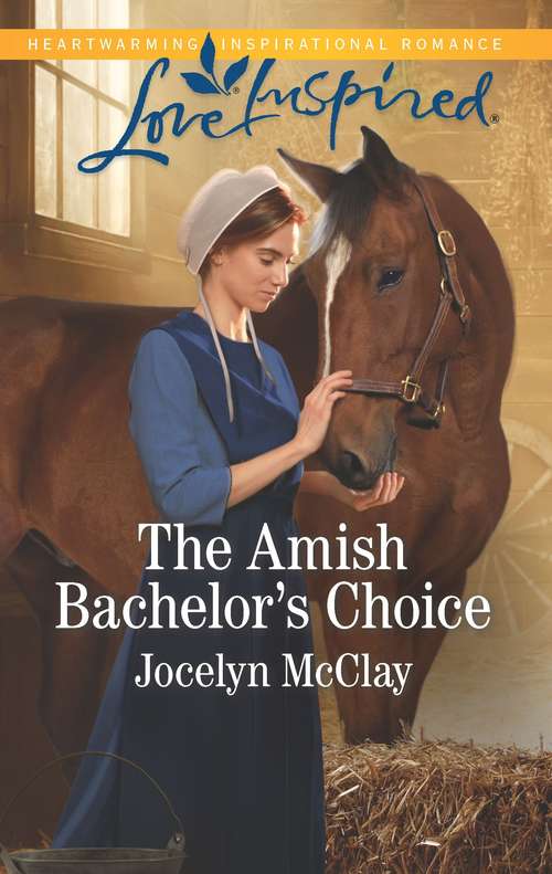 Book cover of The Amish Bachelor's Choice (Original)
