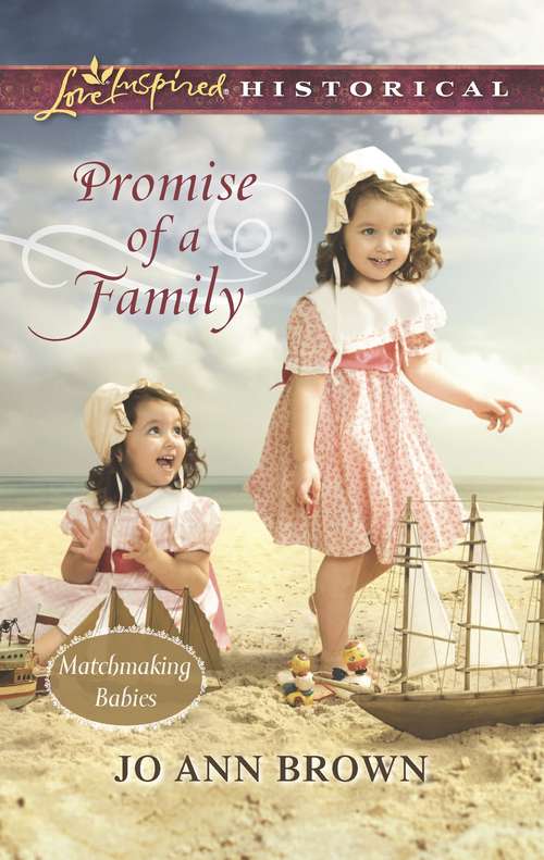 Book cover of Promise of a Family