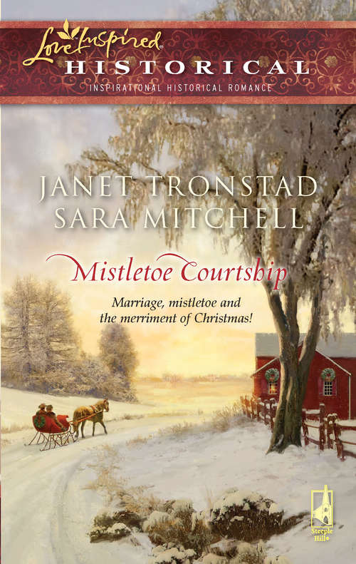 Book cover of Mistletoe Courtship