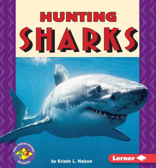 Book cover of Hunting Sharks (Pull Ahead)