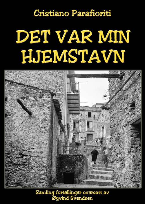 Book cover of Det var min hjemstavn