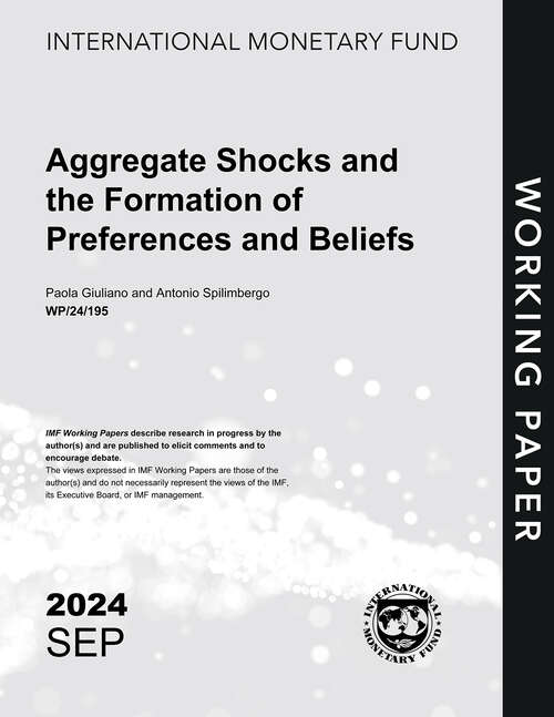 Book cover of Aggregate Shocks and the Formation of Preferences and Beliefs (Imf Working Papers)