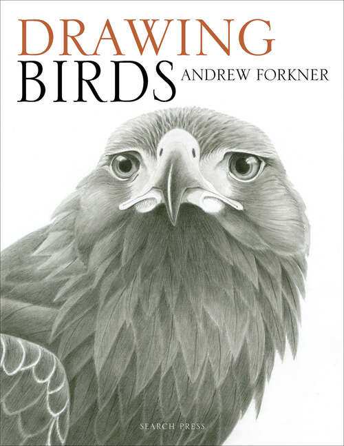 Book cover of Drawing Birds