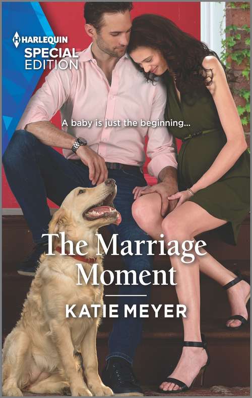 Book cover of The Marriage Moment (Original) (Paradise Animal Clinic #5)