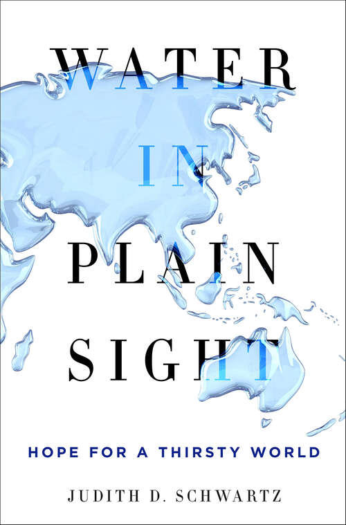 Book cover of Water in Plain Sight: Hope for a Thirsty World