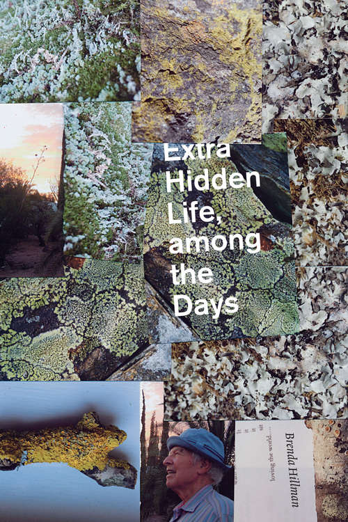 Book cover of Extra Hidden Life, among the Days (Wesleyan Poetry Series)