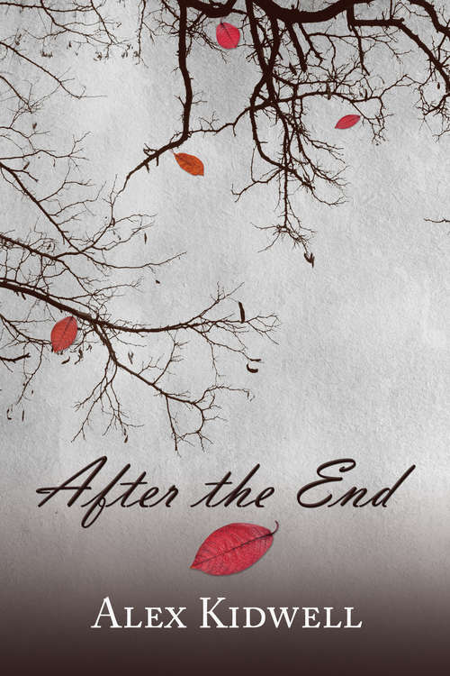 Book cover of After the End