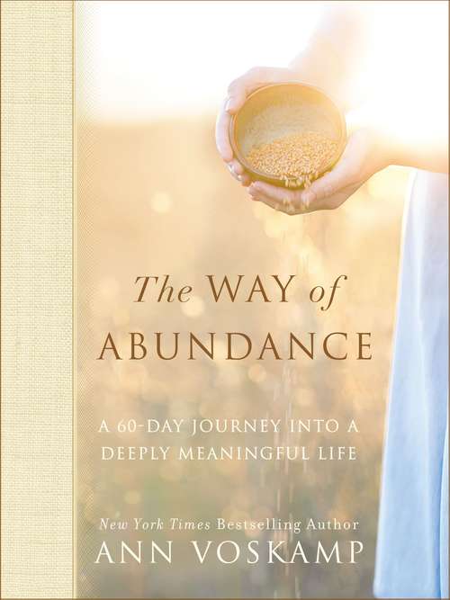 Book cover of The Way of Abundance: A 60-day Journey Into A Deeply Meaningful Life
