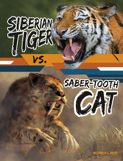 Book cover of Siberian Tiger vs. Saber-Tooth Cat (Beastly Battles Ser.)