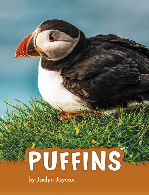 Book cover of Puffins (Animals)