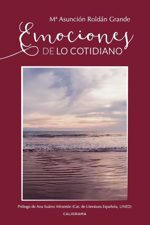 Book cover of Emociones de lo cotidiano