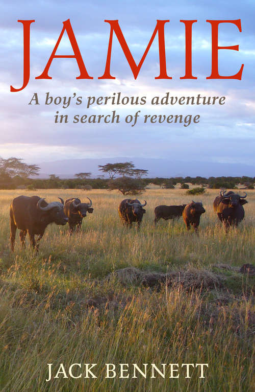 Book cover of Jamie