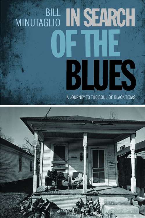 Book cover of In Search of the blues