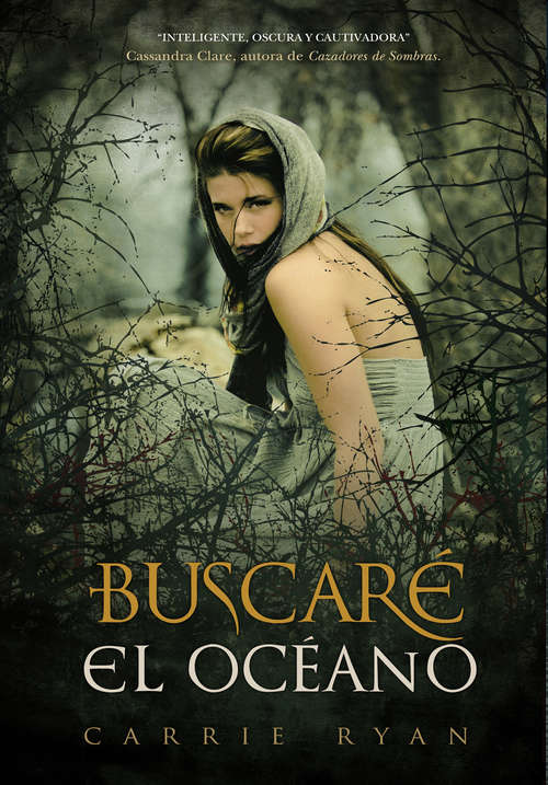 Book cover of Buscaré el océano