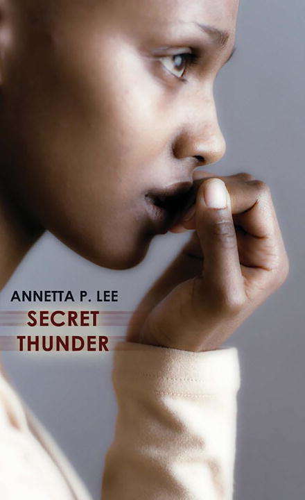Book cover of Secret Thunder