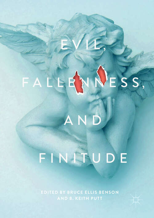 Book cover of Evil, Fallenness, and Finitude