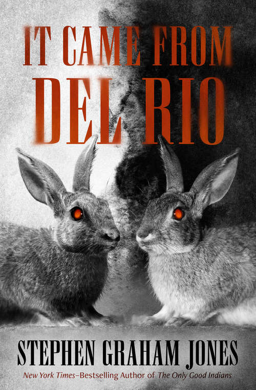 Book cover of It Came from Del Rio: A Bunnyhead Chronicle (The Bunnyhead Chronicles)