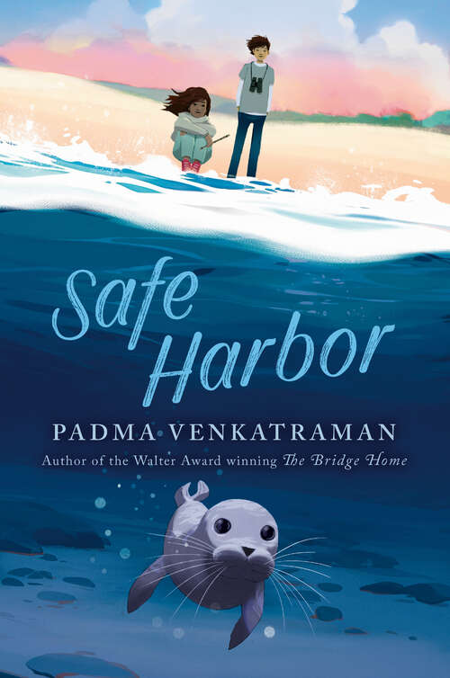 Book cover of Safe Harbor