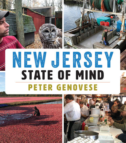 Book cover of New Jersey State of Mind