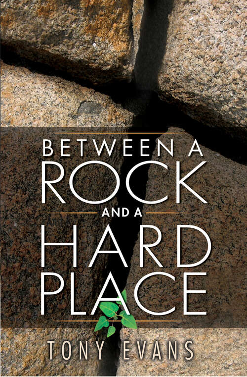 Book cover of Between a Rock and a Hard Place (New Edition)