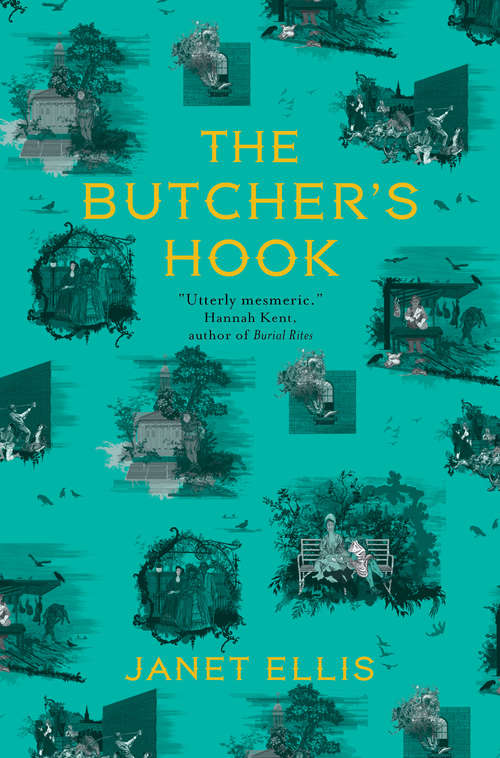 Book cover of The Butcher's Hook