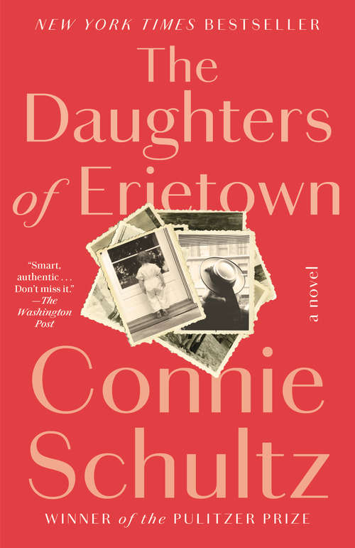 Book cover of The Daughters of Erietown: A Novel