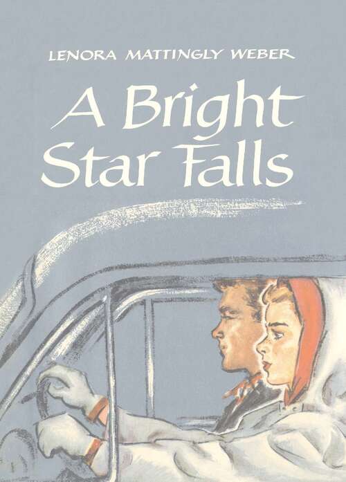 Book cover of A Bright Star Falls (Beany Malone Series, #9)