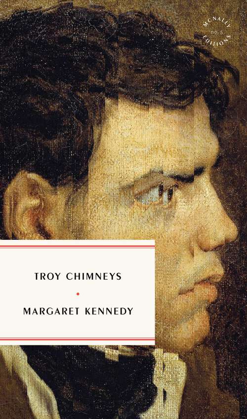 Book cover of Troy Chimneys