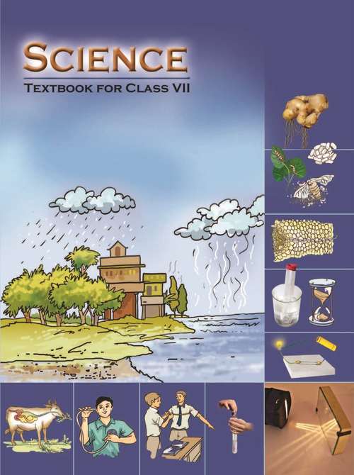 Book cover of Science class 7 - NCERT - 23 (Rationalised 2023-2024)