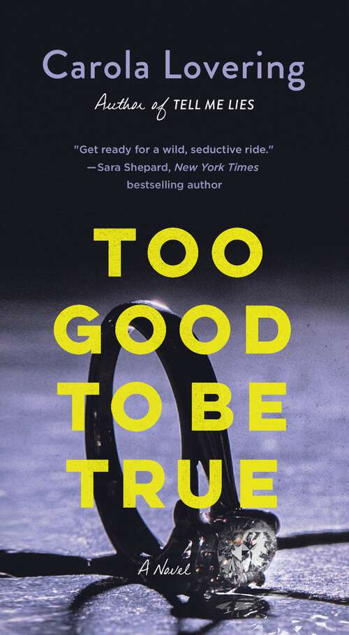 Book cover of Too Good to Be True: A Novel