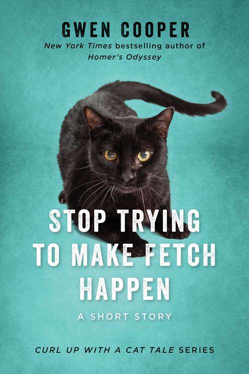 Book cover of Stop Trying to Make Fetch Happen: A Short Story